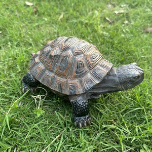 The Enduring Tortoise