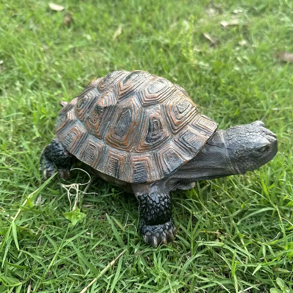 The Enduring Tortoise